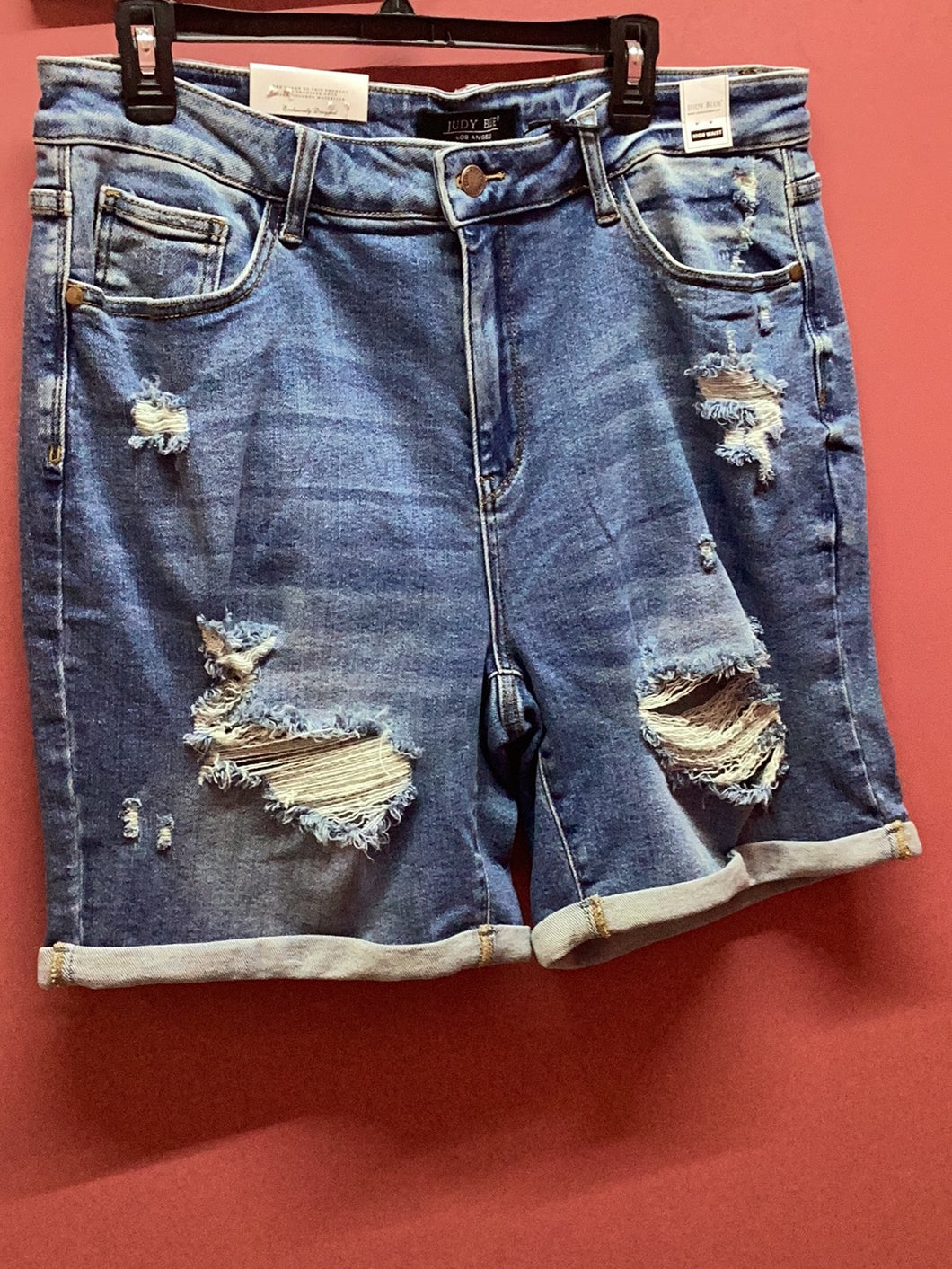 Judy Blue Jean Shorts